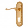 "Mahalalel" Brass Door Handle with Plate 